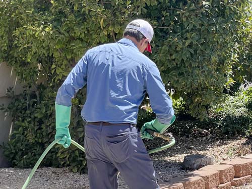 Spider Exterminator in St George, UT | Bairds Pest Control