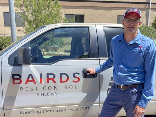 Mice & Rodents Exterminators in St George, UT | Bairds Pest Control