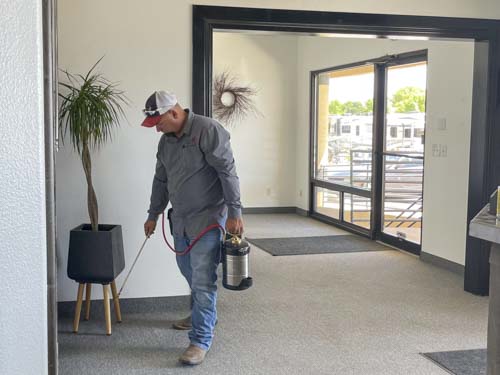 Our Services | PestControl